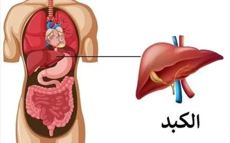 “تحذير طبي: الإفراط في اللحوم بعد عيد الأضحى قد يضر صحتك والزيتون هو الحل!”