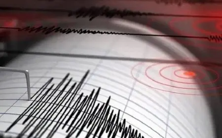 هزة أرضية جديدة تسجلها الشبكة القومية للزلازل في الجيزة: هل أنت جاهز للاستجابة؟