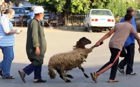 اكتشف تفاصيل احتفالات عيد الأضحى عبر العصور: تقاليد ومظاهر تحتفل بالتراث العربي