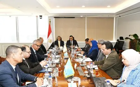 “وزير الإسكان ومحافظ الجيزة يراقبون تقدم مشروعات مياه الشرب والصرف الصحي لضمان تحسين الخدمات”