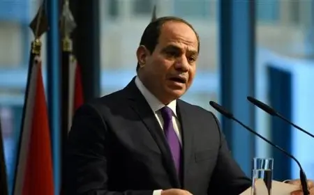 الرئيس السيسي يدعو لإنشاء منطقة خالية من الأسلحة النووية في الشرق الأوسط لتعزيز الأمن والسلام
