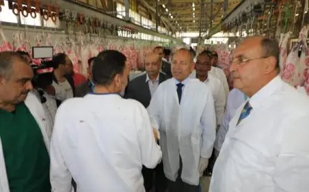 محافظ القاهرة يؤكد انطلاق الإجراءات الصحية لضمان سلامة الذبائح في مجزر 15 مايو