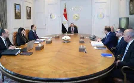 الرئيس السيسي يأمر بترقية وتحسين أداء الشركات في قطاع الأعمال العام لتحقيق التنمية المستدامة