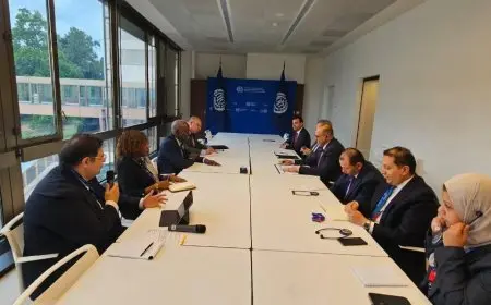 منظمة العمل الدولية تُثني على إنجازات مصر في تعزيز ثقافة السلامة والصحة المهنية