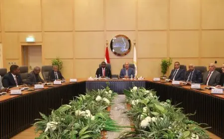 نائب رئيس الوزراء يستعرض آفاق التعاون مع وزير التنمية العمرانية السوداني في مجالات النقل والمواصلات