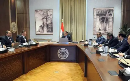 رئيس الوزراء يراقب خطوات تعزيز توفر اللحوم الحمراء في الأسواق لتحقيق توازن السعر