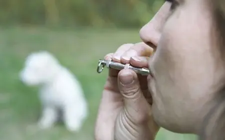 تحذير سونيا الحبال: الصفارة تجلب النكد ليلاً وتؤثر سلباً على الطقوس الليلية!