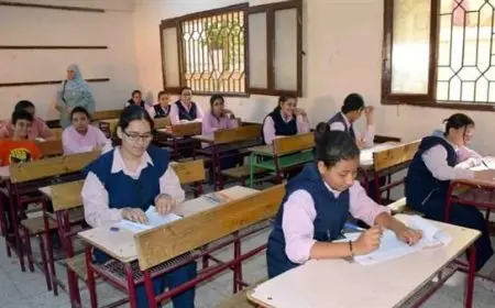 “استعدوا! موعد إعلان نتيجة صفوف النقل في القاهرة والجيزة قريباً”