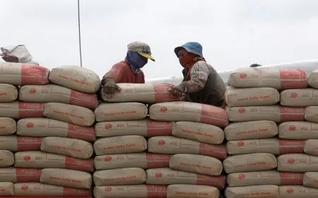 وزير النقل يكشف: إنتاج الأسمنت في مصر يصل إلى 85 مليون طن سنويًا!