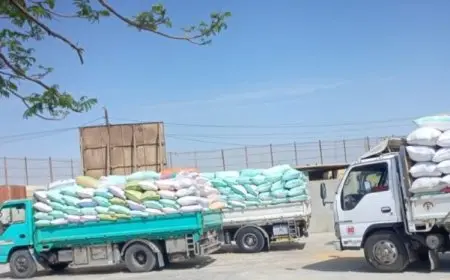 شون وصوامع الشرقية تُنجز توريد ١٠٢٪ من المستهدف: ٥٩١٥١٩ طن قمح محلي تصل الأسواق!