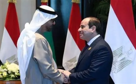 لقاء مهم بين الرئيس السيسي ومحمد بن زايد في قصر الشاطئ: تفاصيل جديدة تكشف التعاون بين مصر والإمارات