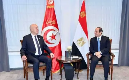 قيس سعيد يبعث تهانيه للرئيس السيسي بمناسبة عيد الأضحى المبارك