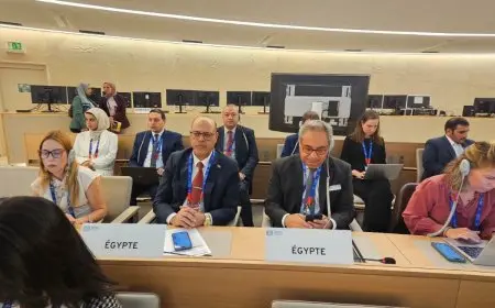 بمساندة مصرية قوية.. فلسطين تصبح عضوًا مراقبًا في منظمة العمل الدولية