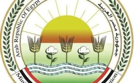 الزراعة تعلن عن استقبال أكثر من 9800 أضحية في المجازر الحكومية خلال أول أيام عيد الأضحى 2023