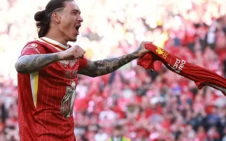 نونيز يُعوض أوسيمين في الهلال: هل ستكون الصفقة بمثابة النقطة التحوّلية؟