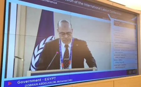 فلسطين تنال صفة عضو مراقب في منظمة العمل الدولية: خطوة هامة نحو تعزيز الحقوق العمالية