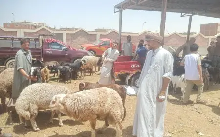 “وزير الزراعة يراقب لجان المرور على شوادر وأماكن بيع الأضاحي ويعزز جهود التوعية للمواطنين”