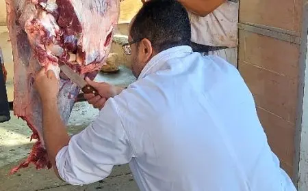 الجيزة تحتفل بعيد الأضحى: ذبح 2202 أضحية للمواطنين في مجازر المحافظة خلال اليومين الأولين!