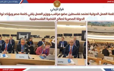 وزير العمل يسلط الضوء على جهود مصر في تحسين بيئة العمل خلال مؤتمر العمل الدولي في جنيف