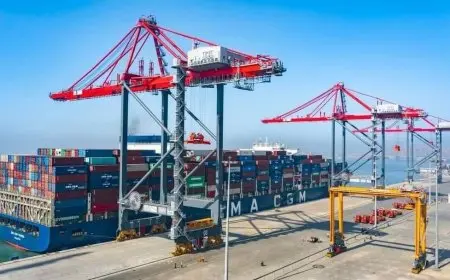 مشروع إنشاء محطة تحيا مصر 2 متعددة الأغراض في ميناء الدخيلة: تفاصيل مثيرة ومهمة!