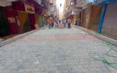 محافظ الجيزة يكشف تفاصيل تطوير ٦ شوارع في حي المنيرة الغربية لتحسين البنية التحتية!