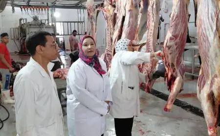 “وزارة الزراعة: أكثر من 28 ألف أضحية في المجازر الحكومية خلال 3 أيام من عيد الأضحى”