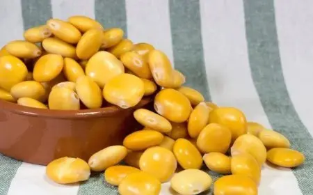 3 فوائد مذهلة للترمس في عيد الأضحى: لا تفوت تناوله مع الليمون!