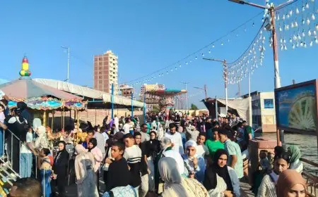 محافظ كفر الشيخ يشيد بتزايد عدد الزوار في حدائق الأسرة والرحلات النيلية خلال رابع أيام عيد الأضحى