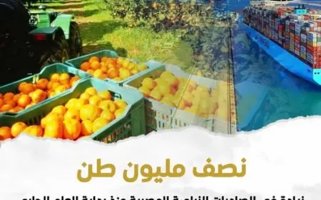 مصر تحقق صادرات زراعية قياسية تصل إلى 4.8 مليون طن منذ بداية العام!