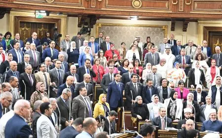 اقرأ التفاصيل: موعد انتخابات مجلس النواب ومجلس الشيوخ 2026 وكيفية المشاركة فيها