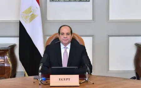 “الرئيس السيسي يوقع على تعديل قانون مجلس الشيوخ لتعزيز الفعالية البرلمانية”