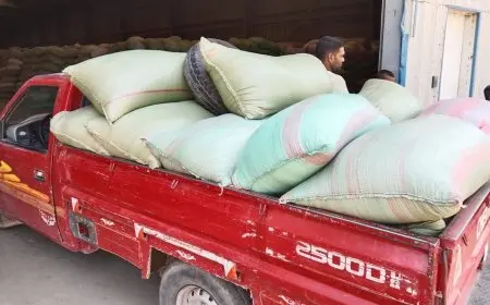 “احتفالاً بالنجاح: المنيا تحقق إنجازاً استثنائياً في موسم توريد القمح بتخطي الهدف بنسبة 131%”