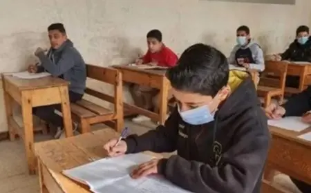 نتيجة الصف السادس الابتدائي 2025: رابط رسمي لفحص النتائج بسهولة ويسر!