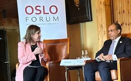 وزير الخارجية يؤكد: مصر ملتزمة بإنهاء الحرب وتحقيق وقف إطلاق نار دائم في غزة