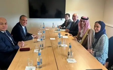وزير الخارجية المصري والسعودي يتباحثان حول مستجدات الأوضاع في غزة