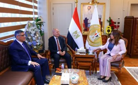 وزيرة التنمية المحلية تتواصل مع محافظي القاهرة والجيزة لمتابعة المشروعات التنموية والخدمية الحيوية