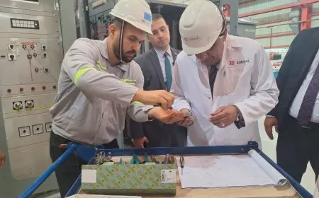 وزير الكهرباء يدعو إلى تعزيز الشراكات في تصنيع المعدات الكهربائية لدعم النمو والابتكار