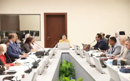 نائب وزير الصحة تعقد اجتماعًا هامًا لبحث آليات تنفيذ الخطة العاجلة لتحسين صحة السكان