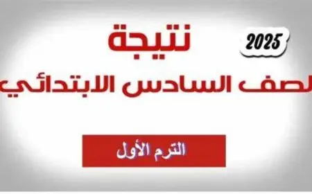 رابط نتيجة الصف السادس الابتدائي 2025 محافظة الجيزة gizaedu وخطوات الاستعلام والتوزيع التفصيلي للدرجات