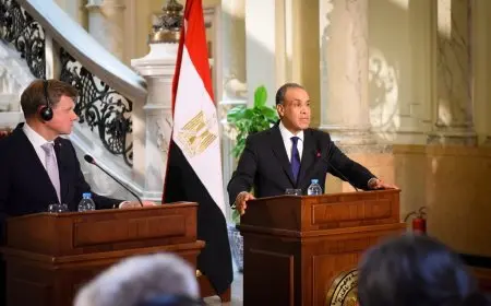 “عبد العاطي: illusions حول الأمن والاستقرار عبر القوة لن تنجح في تأمين إسرائيل”