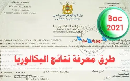 نتائج البكالوريا المغرب 2025 الدورة العادية  رابط الاستعلام وعدد المترشحين حسب الفئات