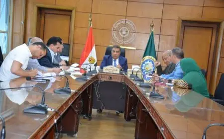 محافظ الدقهلية يطلق خطة شاملة لترشيد استهلاك الكهرباء من خلال اجتماع هام