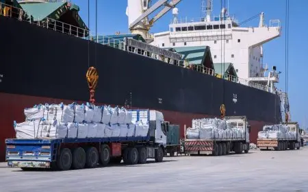 “ميناء دمياط يشهد حركة صادرات ضخمة: أكثر من 20 ألف طن من البضائع العامة في 24 ساعة”