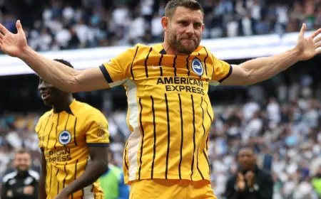 ميلنر يمدد عقده مع برايتون ليحقق الرقم القياسي في الدوري الإنجليزي!