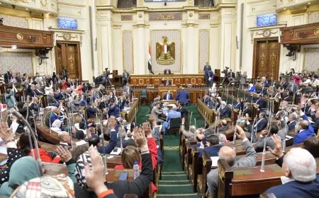 رئيس لجنة الزراعة بالنواب يكشف عن طفرة غير مسبوقة في المحاصيل الاستراتيجية بعد إعلان أسعار التوريد الجديدة