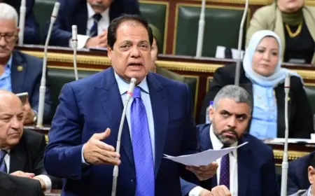 أبو العينين: تعزيز دور القطاع الخاص لتخفيف الأعباء عن كاهل الدولة