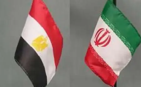 “حسين هريدي: مصر تواجه التحديات بمفردها وتحتاج إلى تعزيز قوة الردع”