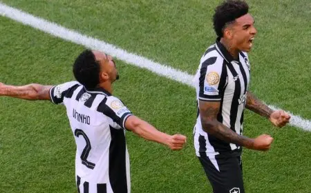 بوتافوغو ينتصر على سياتل في مونديال الأندية: جيسوس يحتفل بأداء مذهل!