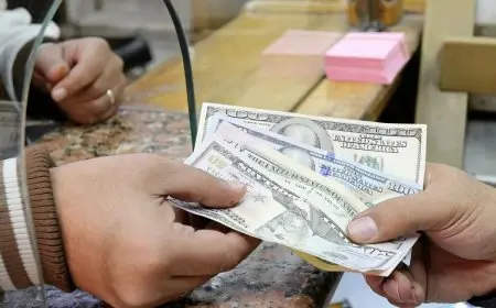 تحويلات المغتربين تكسر الأزمات واحتياطي النقد الأجنبي يصل إلى مستويات قياسية