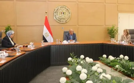 وزير الكهرباء يناقش مع وفد الاتحاد الأوروبي تعزيز الشراكة في مجال الطاقة المتجددة